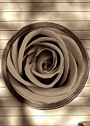 Wall_Art_Alphabet_Photography_Art_ 1621